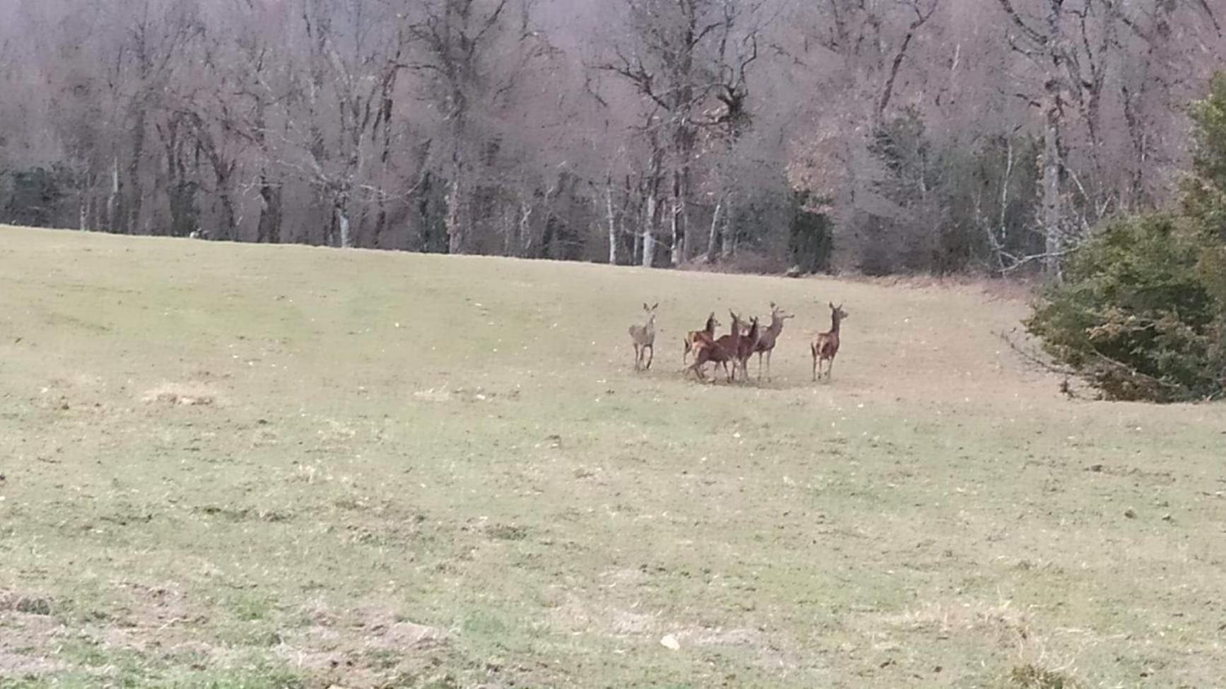 Gite De Dragoux Bouvante Dış mekan fotoğraf